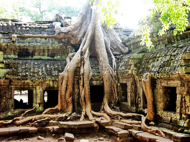 Angkor Wat 04