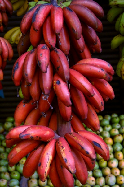 crvene banane2