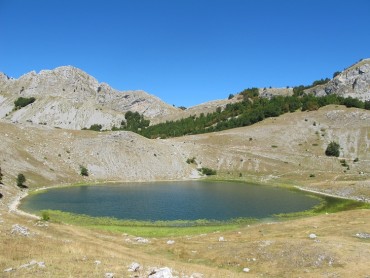 U okolini Bukumirskog jezera nalazi se tipski lokalitet prokletijskog gustera
