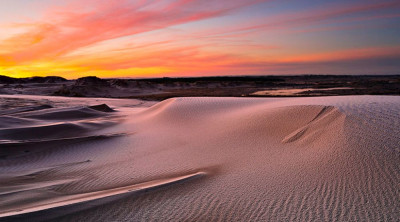 dina 1000x555